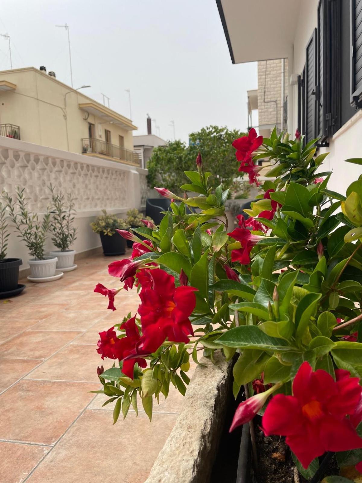 Rosa Dei Venti Villa Polignano a Mare Bagian luar foto